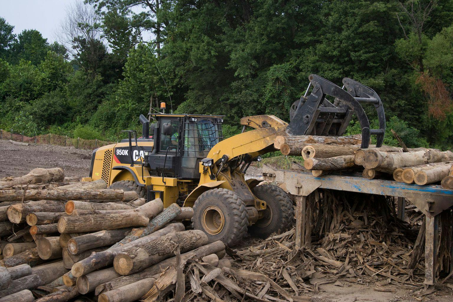 Log and Lumber Forks